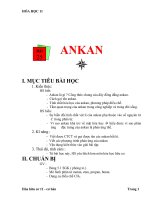 Giáo án Hóa học 11 bài 25: Ankan