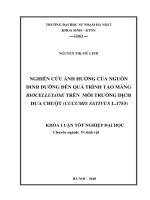 Nghiên cứu ảnh hưởng của nguồn dinh dưỡng đến quá trình tạo màng biocellulose trên môi trường dịch dưa chuột (cucumis sativus l 1753