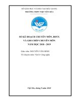 Kế hoạch cá nhân, ke hoach ca nhan giao vien 2018   2019   copy