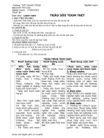 Giáo án bài "Tiểu sử tóm tắt" 11