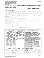 Giáo án "Thực hành các kiểu câu trong văn bản"