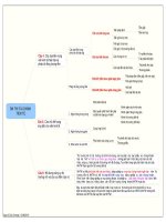 ON TAP LY THUYET TAI CHIH TIEN TE CAU 4 5 6