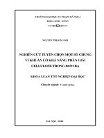 Nghiên cứu tuyển chọn một số chủng vi khuẩn có khả năng phân giải cellulose trong rơm, rạ