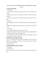 Giáo án lịch sử lớp 11 bài 4 các nước đông nam á (cuối thế kỉ 19   đầu thế kỉ 20) 