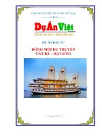 Dự án đầu tư đóng mới du thuyền tại cát bà   hạ long 