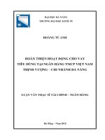 Hoàn thiện hoạt động cho vay tiêu dùng tại ngân hàng TMCP việt nam thịnh vượng – chi nhánh đà nẵng