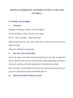 Phương án marketing  sản phẩm của công ty hóa chất xây dựng 1