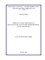 Nghiên cứu và phát triển giống lúa Khang dân 18 chịu ngập ứng phó với biến đổi khí hậu tại các tỉnh phía Bắc