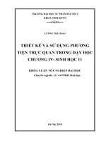 Thiết kế và sử dụng phương tiện trực quan trong dạy học chương IV – sinh học 11