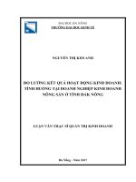 Đo lường kết quả hoạt động kinh doanh tình huống tại doanh nghiệp kinh doanh nông sản tỉnh đắk nông 
