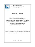 Kiểm soát rủi ro tín dụng trong cho vay khách hàng cá nhân tại ngân hàng TMCP công thương việt nam   chi nhánh quảng nam (tt) 