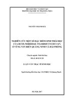 Nghiên cứu một số đặc điểm sinh thái học của rươi (Nereidae tylorrhuynchus SP.) ở vùng ven biển Quảng Ninh và Hải Phòng (Luận văn thạc sĩ)