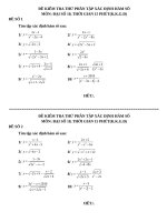 DE KIEM TRA TXD HAM SO 