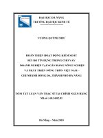 Hoàn thiện hoạt động kiểm soát rủi ro tín dụng trong cho vay doanh nghiệp tại ngân hàng nông nghiệp và phát triển nông thôn việt nam   chi nhánh đống đa, thành phố đà nẵng (tt) 