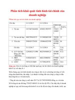 PHÂN TÍCH KHÁI QUÁT VỀ TÌNH HÌNH TÀI CHÍNH VÀ NGUỒN VỐN CỦA TẬP ĐOÀN NAM KIM