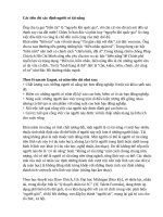 Các tiêu chí xác định người có tài năng