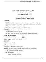 GIÁO ÁN TRẢI NGHIỆM SÁNG TẠO  LỚP 5 ( phát triển năng lực học sinh)