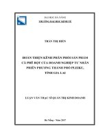 Hoàn thiện kênh phân phối sản phẩm cà phê bột của doanh nghiệp tư nhân phiên phương thành phố pleiku, tỉnh gia lai 