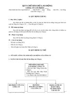 Quy chế bảo hộ lao động