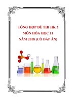 Tổng hợp đề thi HK 2 môn Hóa học 11 năm 2018 có đáp án