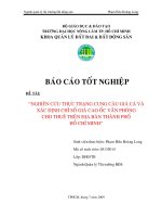 NGHIÊN CỨU THỰC TRẠNG CUNG CẦU GIÁ CẢ VÀ XÁC ĐỊNH CHÆ SOÁ GIAÙ CAO OÁC VAÊN PHOØNG CHO THUEÂ TREÂN ÑÒA BAØN THAØNH PHO HCM