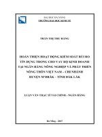 Hoàn thiện hoạt động kiểm soát rủi ro tín dụng trong cho vay hộ kinh doanh tại ngân hàng NNPTNT việt nam  chi nhánh huyện mđrăk  tỉnh đắk lắk 