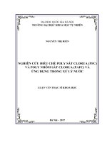 Nghiên cứu điều chế poly sắt clorua (PFC) và poly nhôm sắt clorua (PAFC) và ứng dụng trong xử lý nước 