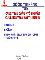 Nguyên vật liệu in trong bao bì nhựa