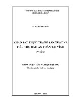 Thực trạng sản xuất và tiêu thụ rau an toàn tại Vĩnh Phúc