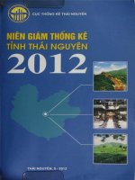 Niên giám thống kê tỉnh thái nguyên 2012 