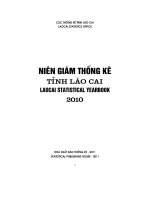 Niên giám thống kê tỉnh lào cai năm 2010 