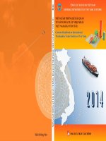 Niên giám thống kê hải quan về hàng hóa XNK việt nam 2014 bản tóm tắt 
