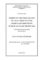 Nghiên cứu thu nhận Gelatin từ vảy các Tráp vây vàng (Sparus latus houttuyn) sử dụng alcalase thương mại (Luận văn thạc sĩ)