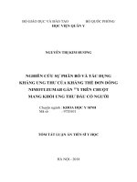 Nghiên cứu sự phân bố và tác dụng kháng ung thư của kháng thể đơn dòng nimotuzumab gắn 131i trên chuột mang khối ung thư đầu cổ người (tt) 