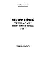 Niên giám thống kê tỉnh lào cai năm 2014 