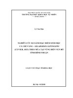 Nghiên cứu so sánh đặc điểm sinh học cá chỉ vàng   selaroides leptolepis (cuvier, 1833) theo mùa tại vùng biển ven bờ tỉnh bình thuận 