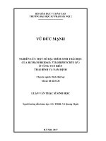 Nghiên cứu một số đặc điểm sinh thái học của rươi (Nereidae tylorrhuynchus SP.) ở vùng ven biển Thái Bình và Nam Định (Luận văn thạc sĩ)