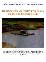 Hướng dẫn kỹ thuật nuôi cá trắm cỏ trong lồng (NXB gia lai 1994)   trịnh quốc việt, 14 trang 