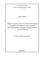 Nghiên cứu đa dạng thực vật ngập mặn, bán ngập mặn tại vịnh hạ long, tỉnh quảng ninh và xác định hoạt tính sinh học của loài mù u (calophyllum inophyllum) thu thập trên đảo 