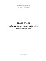 Báo cáo điều tra lao động việc làm 9 tháng đầu năm 2012 (NXB thống kê 2012)   tổng cục thống kê, 65 trang 