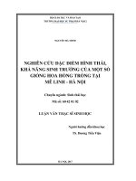 Nghiên cứu đặc điểm hình thái, khả năng sinh trưởng của một số giống hoa hồng trồng tại Mê Linh  Hà Nội (Luận văn thạc sĩ)