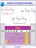 Hóa vô cơ  Chương 14: nguyên tố nhóm IB