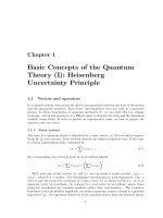 Basic concepts of the quantum theory