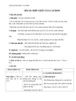 Giáo án Hóa học 11 bài 16: Hợp chất của Cacbon