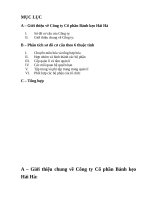 Cơ cấu tổ chức bộ máy quản lý của Công ty Hải Hà