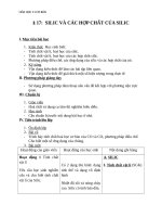 Giáo án Hóa học 11 bài 17: Silic và hợp chất của silic