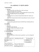 Giáo án Hóa học 11 bài 8: Amoniac và muối amoni