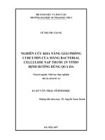 Nghiên cứu khả năng giải phóng curcumin của màng bacterial cellulose nạp thuốc in vitro định hướng dùng qua da (Luận văn thạc sĩ)