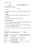 Giáo án Hóa học 11 bài 23: Phản ứng hữu cơ