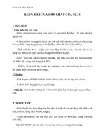 Giáo án Hóa học 11 bài 17: Silic và hợp chất của silic